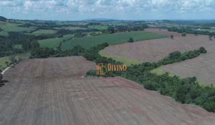 Fazenda à Venda em Itapetininga-SP