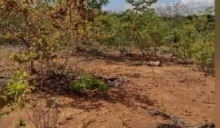 Terreno à venda na Padre Félix, 75, Zona Rural, Felixlândia por R$ 3.500.000