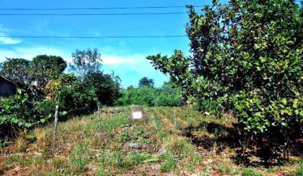 TERRENO à venda, DONA ZULMIRA - Uberlândia/MG
