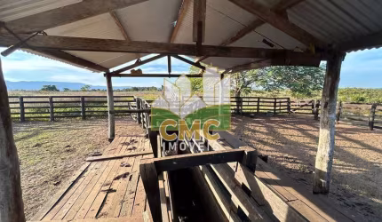 FAZENDA 895 HA EM LIVRAMENTO – REGIÃO AGUÁS CLARAS