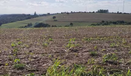 Fazenda 50 Alqueires, 40 Alqueires Plantio, Boa Topografia   Terra Vermelha a Mista   Ribeirão e Açude   Barracão Simples   Ótima Logística e Acesso