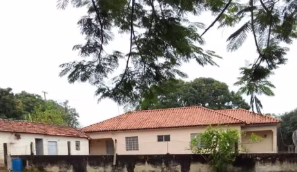 Fazenda 49 Alqueires, Em Plantio: 40 Alqueires Solo: Terra Mista Topografia: Semi Plana a levemente Ondulada  Hidrografia: Ribeirão   Benfeitorias: