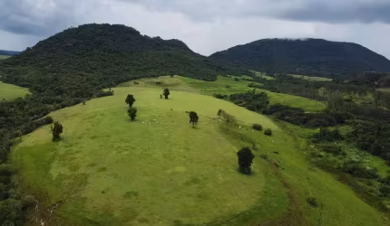 Sitio 15 Alqueires,Otima Localização 3 Pedras,Gigante Adormecido,Rica em Água,Otimo Aproveitamento,Potencial Turistico,Venda só 4 Alqueires tambem