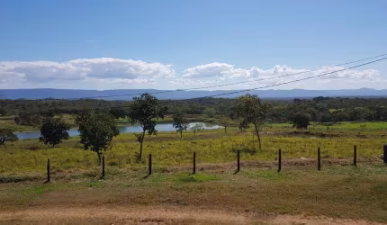 Fazenda 1952 Hectares, Rico em Água com 30 Hectares em Lago e Nascentes, Dupla Aptidão, Casa Sede, Curral, Galpão, Poços Artesianos, 2 Casas Caseiros