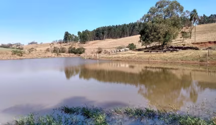 Sítio 25 Alqueires, 5 Alqueires com Eucalipto, Bom de Água, Lago, Terra Vermelha, Casa pra Caseiro