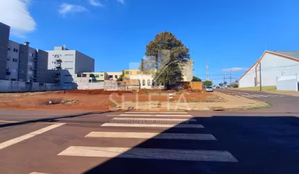 Ótimo oportunidade de Terrenos no Bairro Alto Alegre em Cascavel.