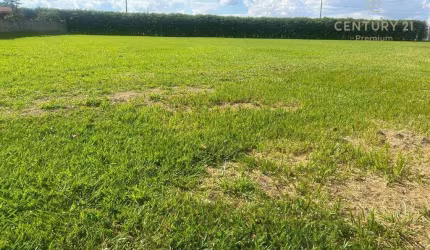 Terreno à venda, 1601 m² por R$ 320.000,00 - Recanto Universitário - Rio das Pedras/SP