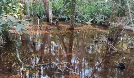 Chacara de 27.8 Hectares.  35 km de CG.