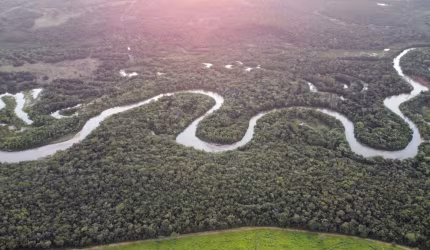 Linda Fazenda Banhada po 8 km de Rio Coxim