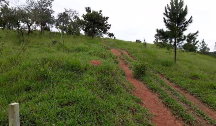 Campo Largo - Jarinu/SP
