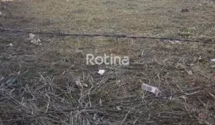 Terreno à venda, Segismundo Pereira - Uberlândia/MG - Rotina Imobiliária