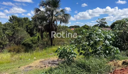 Terreno à venda, Nossa Senhora das Graças - Uberlândia/MG - Rotina Imobiliária