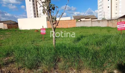 Um Terreno Bairro Jardim Holanda