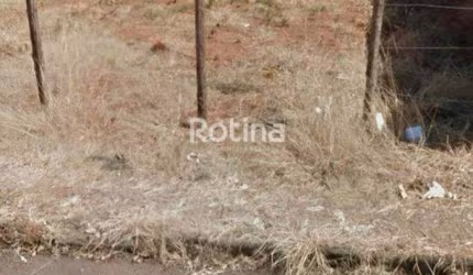 Terreno à venda, Santa Mônica - Uberlândia/MG - Rotina Imobiliária