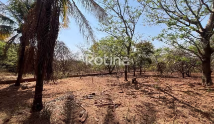 Terreno à venda, Chacaras Tubalina e Quartel - Uberlândia/MG - Rotina Imobiliária