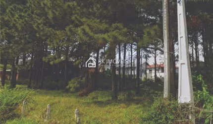 Terreno à venda, São João do Rio Vermelho - Florianópolis/SC