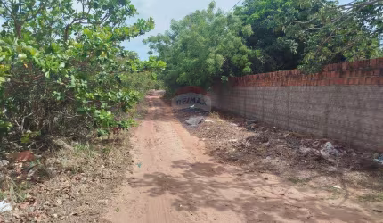 Terreno Comercial Premium em Cotovelo, RN