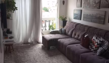 Apartamento 3 Quartos 1 Suíte no Baeta Neves - São Bernardo 1435522