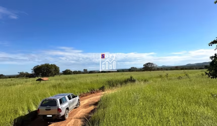FAZENDA À VENDA – 40 ALQUEIRES (193,6 HECTARES) – PADRE BERNARDO/GO