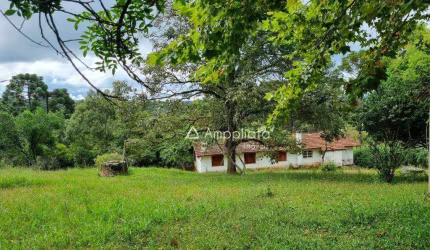 Chácara à venda, 4319 m² por R$ 498.000,00 - Chácaras Olhos D´água - Campina Grande do Sul/PR