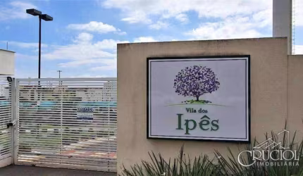 Apartamento para venda no Ouro Verde | Condomínio Vila dos Ipes