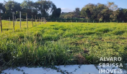 Terreno medindo 10 x 25 metros a venda no Parque São Domingos em Pindamonhangaba SP