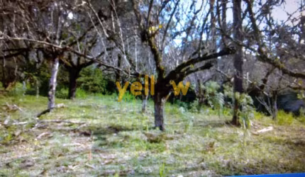 Terreno Residencial em Descansópolis - Campos do Jordão