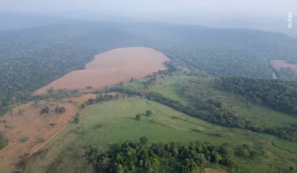Fazendas, Área Rural  em Capitão Leônidas Marques/PR