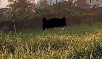 Terreno à venda na Praia das Palmeiras, Caraguatatuba , 2000 m2 por R$ 4.990.000