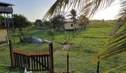 FAZENDA A VENDA NO RURAL MARGEM DO RIO CAMARÁ