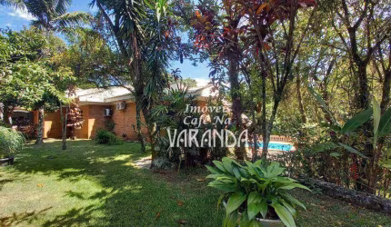UM VERDE EXUBERANTE....!!