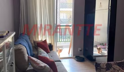 Apartamento de 53m² com 2 quartos em Jardim Peri