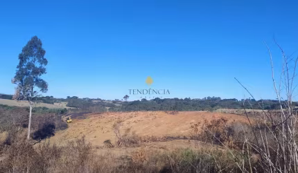 Chácara à venda, 29040 m  por R  4.400.000,00 - Cachoeira - São José dos Pinhais PR