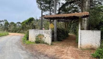 Chácara à venda, 12859 m  por R  990.000,00 - Área Rural de São José dos Pinhais - São José dos Pinh