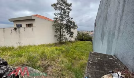 Terreno em Nova Gerti  -  São Caetano do Sul