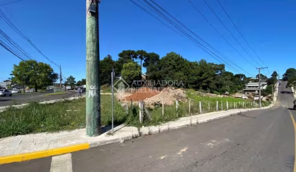 Terreno comercial à venda na Avenida Cônego João Marchesi, 55, Centro, Canela, 4980 m2 por R$ 4.000.000