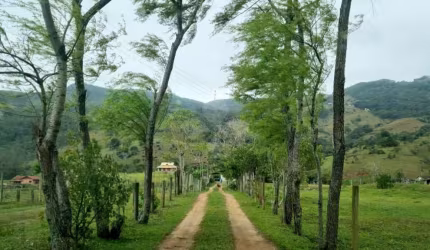 Chácara / sítio com 2 quartos à venda na Henrique Bernardo, 34, Morro do Freitas, Paulo Lopes por R$ 1.500.000
