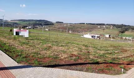 Terreno para aluguel, Vederti - Chapecó/SC