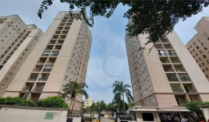 Apartamento para venda na Luz