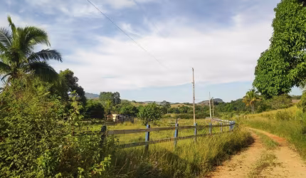 Sítio para Venda em Itaboraí, Peróbas (Pachecos), 1 dormitório, 1 banheiro