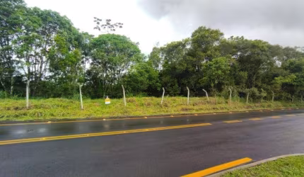 TERRENO no RETA com 0 quartos para VENDA, 12029 m²