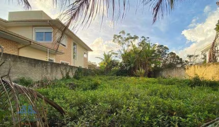 Terreno à venda, 360 m² por R$ 1.350.000,00 - Santa Mônica - Florianópolis/SC