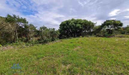 Terreno à venda, 4 m² por R$ 1.250.000,00 - Macacú - Garopaba/SC