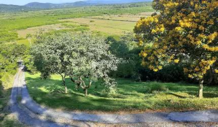 Chácara / sítio com 3 quartos à venda na Estrada Manoel Leôncio de Souza Brito, 3000, Vargem Pequena, Florianópolis, 120 m2 por R$ 1.150.000