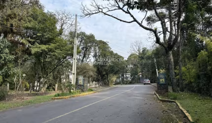 Terreno à venda na Rua Do Louro, 10, Ipê Amarelo, Gramado, 532 m2 por R$ 599.000
