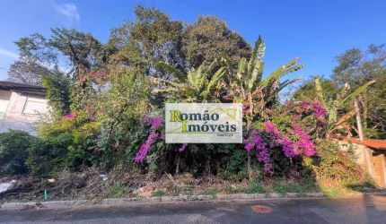 Terreno à venda, 250 m² por R$ 100.000,00 - Parque Lagoa Do Barreiro - Mairiporã/SP