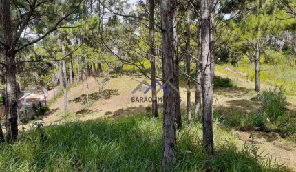 Terreno à venda, 3200 m² por R$ 660.000,00 - Parque Espelho  D Água - Jundiaí/SP