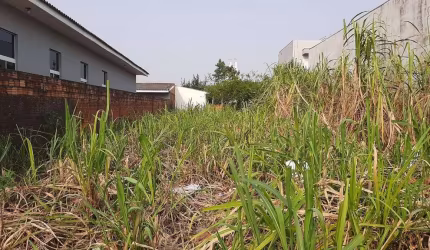 Terreno comercial