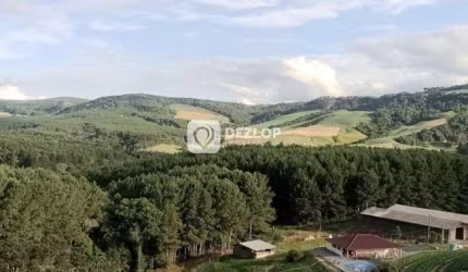 Sítio à venda em Alfredo Wagner - SC | Nascente e açude no terreno