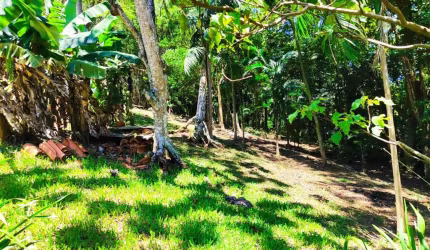 Casa no Ribeirão da Ilha - Florianópolis - SC